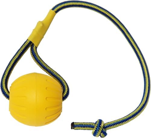 2 Pack Ball with Rope Dog Toy,Fling Dura Foam Toy,Dog Water Float Ball Rraining Boall on Rope (1 * 7cm/2.8"+1 * 9cm/3.5")