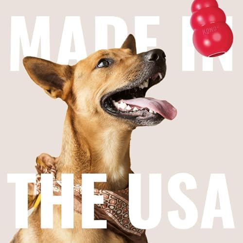 KONG Flyer, Natural Rubber Flying Disc, for Small Dogs (Pack of 2)