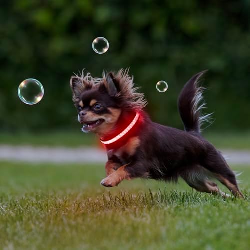 Flashseen LED Dog Collar, Light Up Dog Collar USB Rechargeable, Red, XS