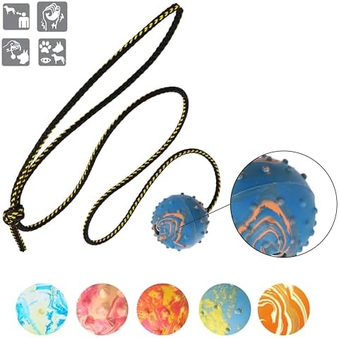 Dingo Fetch Ball Made of Hard Rubber with Knobs and String, Small, for Aport Game Dog Training 17321
