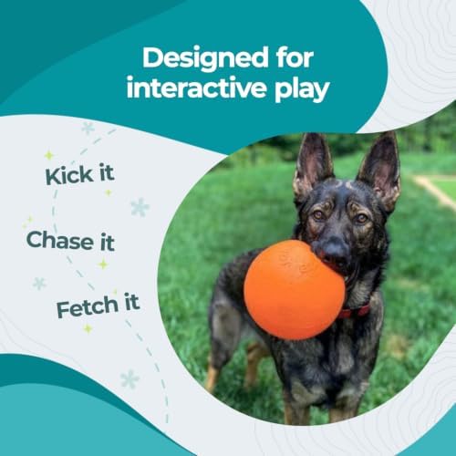 Jolly Pets Dog 6-Inch Bounce-n-Play, Orange, 6 Inches/Medium