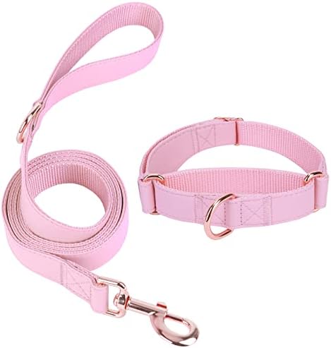 Soft Leather Martingale Dog Collar - Adjustable Rose Gold Limited Slip Collars [Easy to Clean], Stylish Durable Heavy Duty Nylon No Pull Training Collar for Small Medium Large Dogs (S, Set Pink)