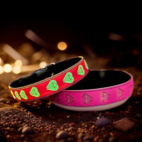 Light Up Glow Dog Collar with AirTag Holder, 15 Color Modes,