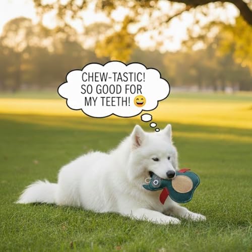 Natural Suede Leather Owl Chew Toy for Dogs & Puppies | Durable and Fun Interactive Toy | Supports Healthy Chewing and Daily Play | Soft Texture for Gentle Teeth
