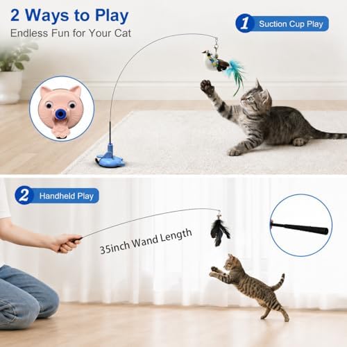 10PCS Interactive Cat Toy with 2 Suction Cups & Wand, 2 Ways to Play Indoor Cat Toys for Bored Cats, Feather Bird Teaser Toy with Flexible Rod, Kitten Exercise Toys with Fish Toy