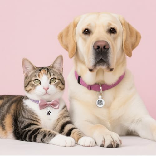 QR Code Cat Tag, Modifiable Pet Online Profile, Multiple Emergency Contact, Scannable QR Code, Instant Location Email Alert, Collar Accessories (Small Breeds - 1", White)