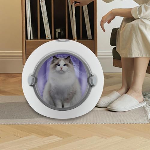 Pet Dryer Box, Fans Blower, Electric Hair Dryer for Small Dogs and Cats, Safety Door Lock, LCD Control Panel, with Smart Temperature Control, for Pet Shops, Households, Pet Relief Stations