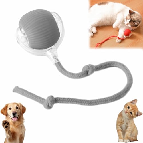 Interactive Pet Toy Ball, 2025 New Interactive Rolling Dog Ball, for Bored Indoor Cats, Automatic Rotating Rolling Balls