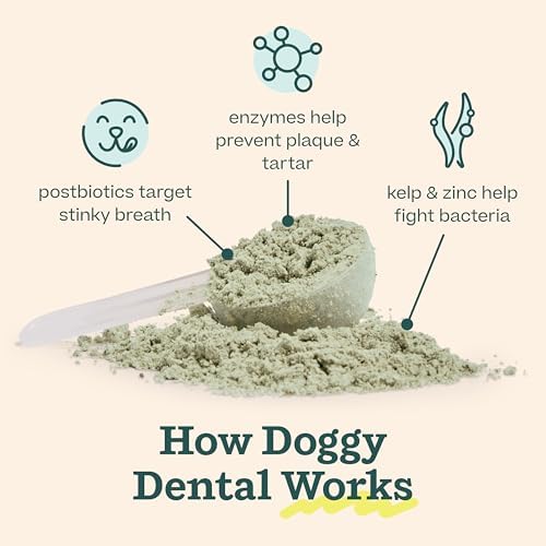 Woof Doggy Dental Pupsicle Mix - Dog Teeth Cleaning Powder for the Pupsicle - Long Lasting Postbiotic Dental Enzyme Mix to Support Oral Health for Dogs