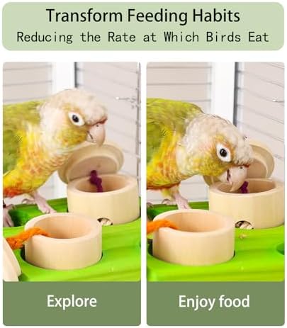 Birdie Puzzle Feeder - Interactive Foraging Toy for Parrots, Parakeets, Cockatiels, Conures | Mental Enrichment & Stimulation Game to Prevent Boredom (Green)
