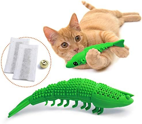 Ronton Cat Toothbrush Catnip Toy - Durable Hard Rubber - Dental Care, Cat Interactive Toothbrush Chew Toy (1 Pack Green (Shrimp)