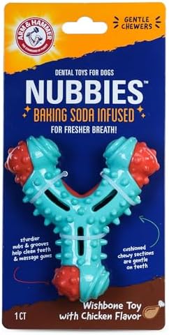 Arm & Hammer Nubbies Wishbone Dental Dog Chew Toy, Chicken Flavor