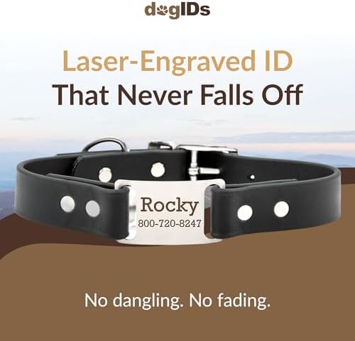 dogIDs Personalized Dog Collar – ScruffTag Custom Waterproof Biothane Dog Collar with Laser-Engraved Name, Durable & Odor-Resistant – USA Made | Black, 1 in x 18 in (Fits Neck Sizes 16-20 in)