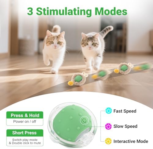 Cat Toys for Indoor Cats, Interactive Cat Toy for Adult Cats
