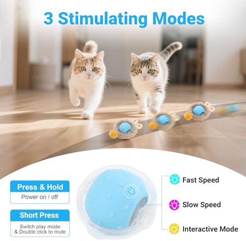 Cat Toys for Indoor Cats, Interactive Cat Toy for Adult Cats