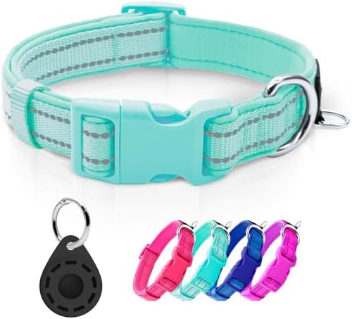azuza Airtag Dog Collar, Medium Dog Collar with Airtag Holder, Teal, M