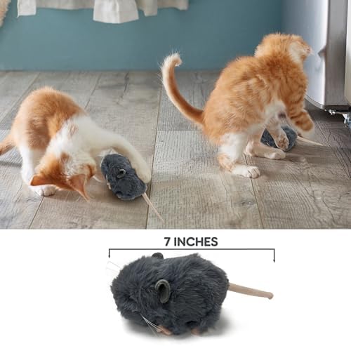Vaulted Skulls & Co Mouse Dog Toy 7" | Mouse Stuffed Animal Small | Fluffy Mouses Small Dog Toy | Cat Mouse Toy | Small Mouses Plush Dog Toy | Mouse Toy for Cats | Squeaker-Free | Gray | 7"