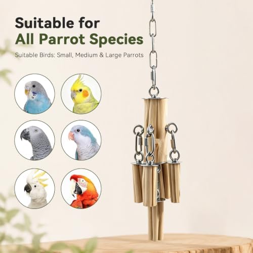 AOTU Medium Large Parrot Chew Toy, 304 Stainless Steel Natural Hardwood Bird Toys, Safe Durable Hanging Interactive Enrichment Toy for Macaw, Cockatoo, African Grey, Amazon Parrots