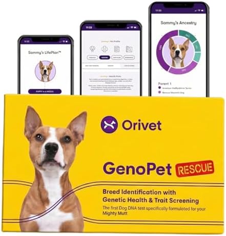 ORIVET GenoPet Rescue Dog DNA Test, Breed ID, Health, Easy At-Home Swab Kit | Results in 3-5 Weeks