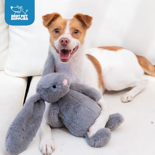 Best Pet Supplies Bunny Buddy Squeaky Plush Dog Toy - Beige & Gray | Pack of 2, Soft Plush, Squeaks & Crinkles, For Moderate Chewers, Toss & Fetch Play, Stress & Anxiety Reliever, Ideal Gift Toy