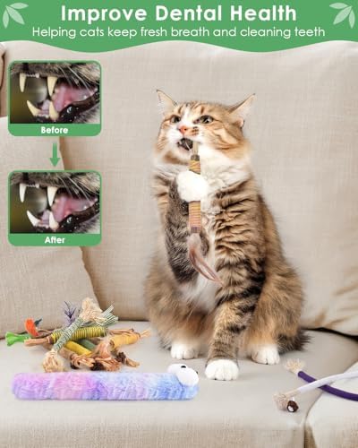 Bissap 20PCS Silvervine Chew Sticks, Catnip Chewing Toy for Cat Kitten