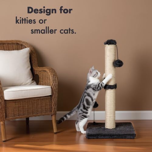 MECOOL Cat Scratching Post Premium Basics Kitten Scratcher Sisal Scratch Posts with Hanging Ball 22in for Kittens or Smaller Cats (22 inches for Kitten,Charcoal Gray)