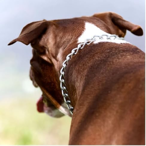 Choke Chain Collars for Dog Training and Walking Welded Steel Choose Thickness and Length (Extra Light - 2mm, 16")
