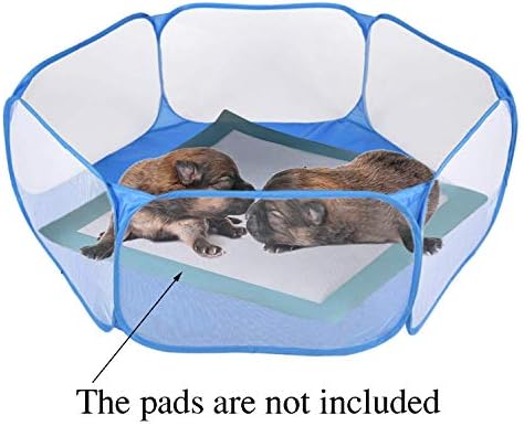 Rypet Guinea Pig Playpen Pop-Up, Outdoor Yard Fence for Small Pets,Blue