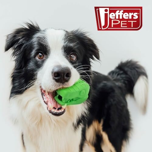Jeffers Pet Natural Rubber Dog Chew Toy – T-rex Shape, Large - Treat Dispensing, Vanilla Scent, Durable, Non-Toxic, Dishwasher Safe, Interactive Fetch & Tug Toy, Dental Play - Perfect for Training