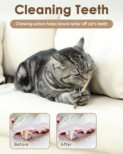 Tocirelo Cat Toys Silvervine Sticks, Natural Catnip Toys for Indoor Cats