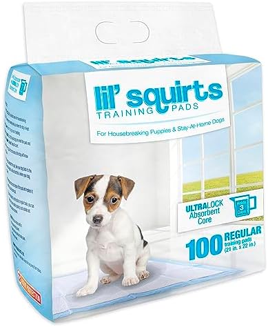Lil' Squirts Puppy Training Pads 100 Pack for Potty Training & Housebreaking, UltraLock Absorbent Core, Leak-Proof, Odor Control | 21 in x 22 in, 12-Hour Protection, Ultralock Absorbent Core, Leak-Proof, No Bleach Or Dyes, Odor Control Dog Training Pads