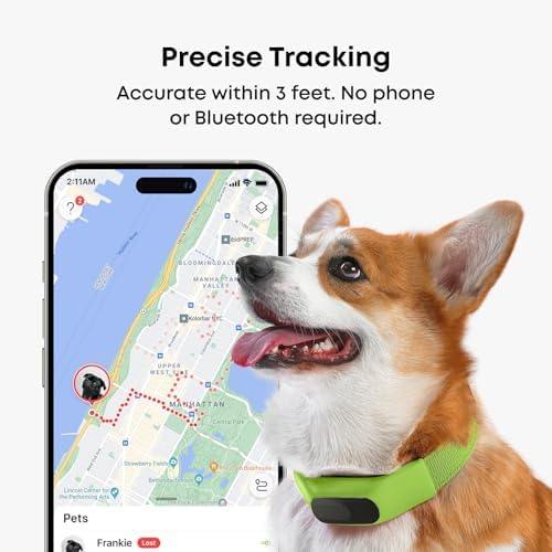 Averia Collar - Reliable GPS and Activity Tracker for Dogs