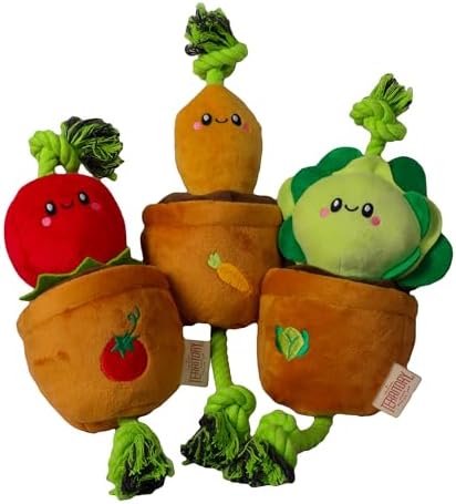 Territory Interactive Play Plush Treat-and-Tug Reward Toy for Dogs, Carrot