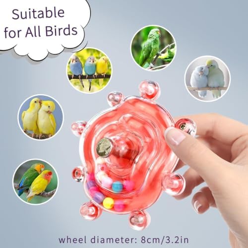 Budgie Toys, Parakeet Training Toy, Interactive Bird Educational Toy For Small Birds, Cockatiel Toys, Fun Parakeet toys, Lovebird toys, Quaker Parrot toys, Bird Toys For Conures, Sun Conure toys（2PCS）