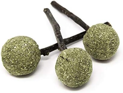 Oxbow Enriched Life Timmy Pops, Rabbit Toys, Guinea Pig Toys, Enrichment for Bunny, Guinea Pig, Hamster, Rabbit, Chinchilla, Timothy Hay, Chinchilla Cage Accessories, Small Pet Accessories for Cage