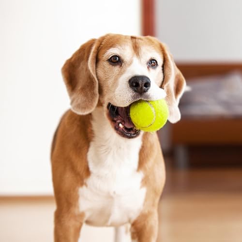 3-Pack Tennis Ball Dog Toys with Squeaker, Interactive Fetch Play for Pets 40 lbs and Over ，Training Balls for Indoor & Outdoor Exercise, 3.28-inch (Sound Ball, 12PCS)