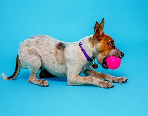 Hartz DuraPlay Bacon Scented Dog Toys, Small (Assorted Color) (Pack of 12)