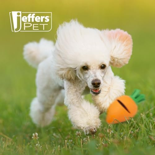 Jeffers Pet Natural Rubber Dog Chew Toy – Carrot, Medium - Treat Dispensing, Vanilla Scent, Durable, Non-Toxic, Dishwasher Safe, Interactive Fetch & Tug Toy - Perfect for Training Medium Chewers