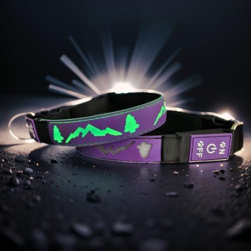 Customlized Name Flashing USB-C led Light up Dog Collar with airtag Holder, Subversive 3D Design Comfortable and Soft Material,Multicolored Lighting (Purple, L(15.7-19.7"))