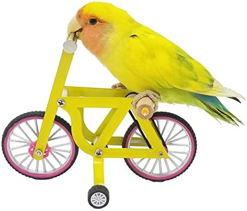 QBLEEV Bird Intelligence Training Toy - Parrot Puzzle Bicycle for Birds