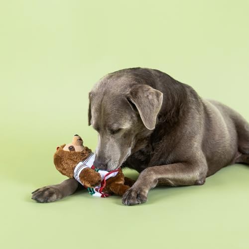 Fringe Studio You HAD ME at HOLA! Plush Dog Toy, Pet Shop Collection (314339)