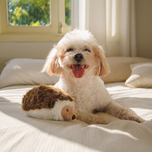 CHEWFFON Stuffed Dog Toy, Plush Squeaky Chew Toy for Boredom