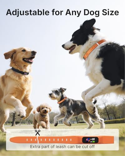 Anti Bark Collar for Small Medium Large Dogs, Vibrating Dog Collars No Shock, Rechargeable Smart AI Bark Collar, Automatic Dog Training Collar, IP 67 Waterproof Dog Barking Collar (Black)