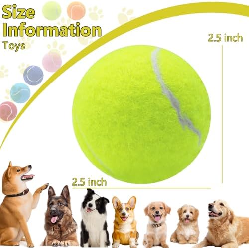 Swingers Squeaky Tennis Balls for Dog, 2.5 Inch Training Tennis Balls