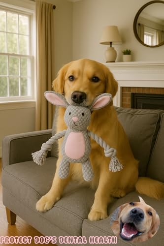 Plush Bunny Dog Toy, Squeaky Tug Toy with Rope Arms for Small Medium Dogs