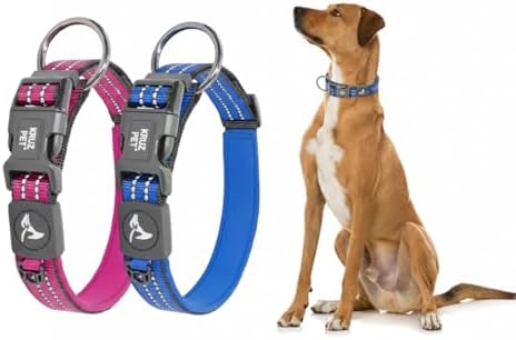 Dog Collar Bundle for Large Dogs (Width - 1", Length - 21"-25") | Adjustable Padded Raspberry Pink & Blue Dog Collars with Heavy Duty O-Ring | Soft & Comfortable Fit for Large Dogs