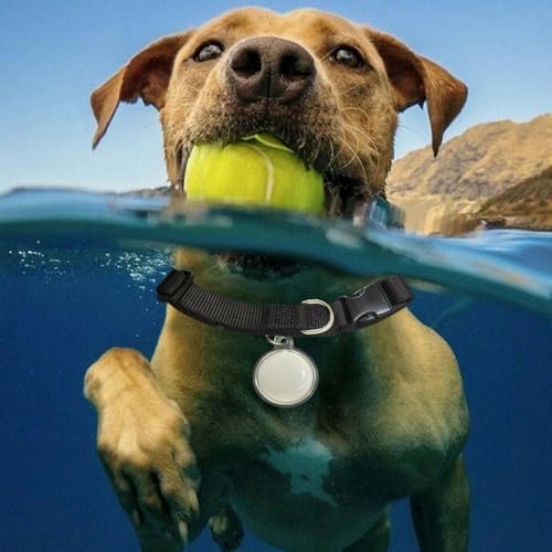 Mini Bell Cat Tracker, Mini Tracker for Pet iOS & Android, Waterproof Cat Collar with Finder Tag, Cats GPS Tracker Collar with Safety Elastic Buckle, Smart Pet Tracker Location (B-Android)