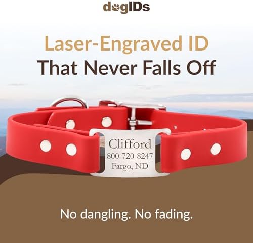 dogIDs Personalized Dog Collar – ScruffTag Custom Waterproof Biothane Dog Collar with Laser-Engraved Name, Durable & Odor-Resistant – USA Made | Red, 3/4 in x 14 in (Fits Neck Sizes 12-16 in)