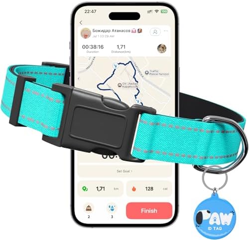 Personalized Collar with Smart ID Tag, Large, Mint Green | Reflective Dog Collar with Smart ID Tag, Heavy Duty Custom Dog Collar for Large Breed