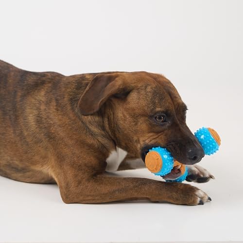 SPOT Bam-Bones PLUS Gigglers Tripod Durable Dog Chew Toy, For Large Aggressive Chewers, Bamboo Fiber & Nylon, Dual Texture, Massaging Rubber Ends, Sounds, Non-Splintering, Peanut Butter Flavor, 6 Inch